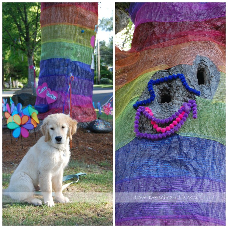 Linus rainbow tree