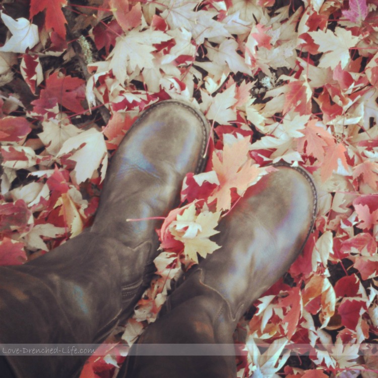 boots in leaves