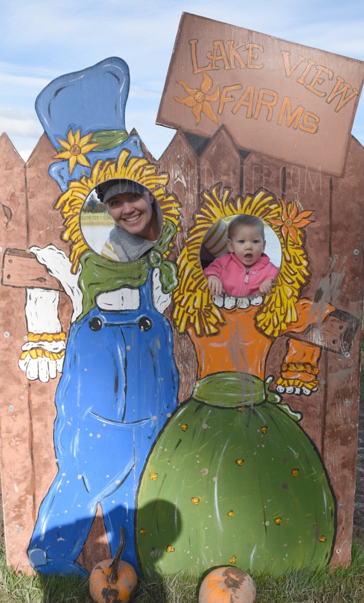 pumpkin-patch-2016-4