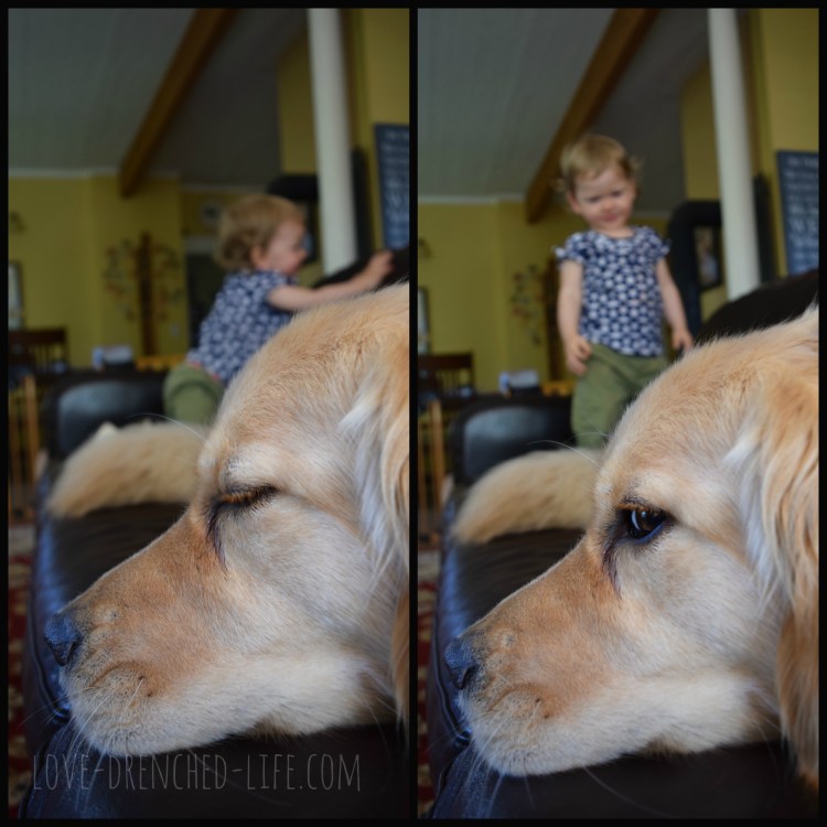 best friends l and a