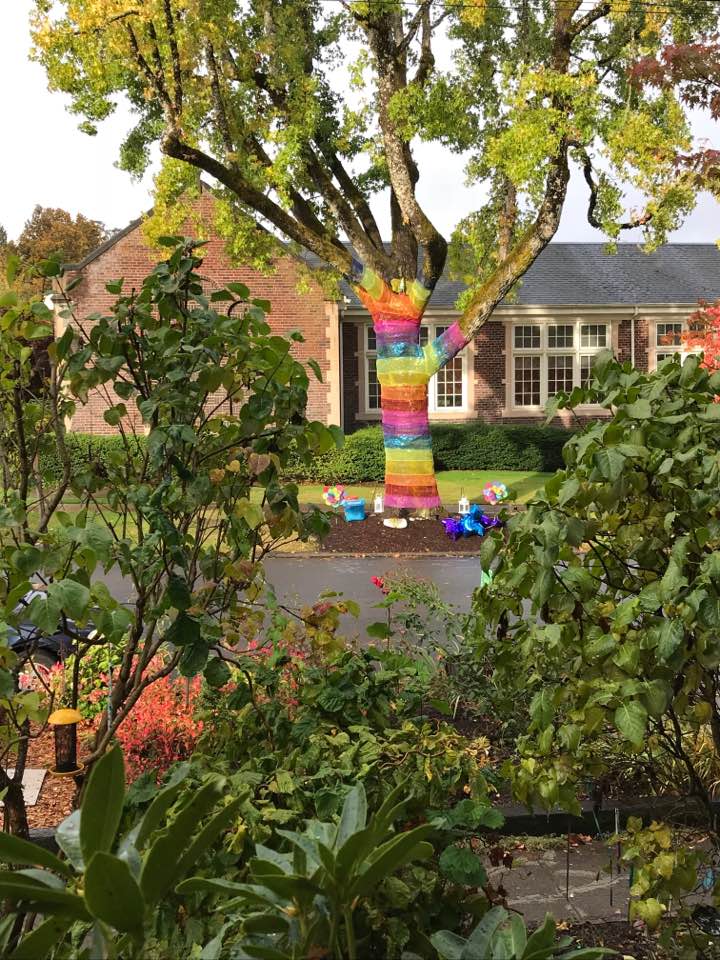 rainbow tree on heaven day
